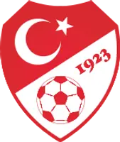 Turkish Cup Logo