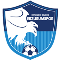 BB Erzurumspor Team Logo