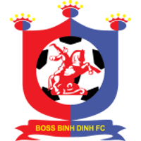Binh Dinh Team Logo