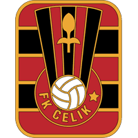 Celik Team Logo