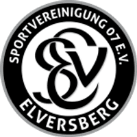 Elversberg Team Logo