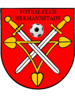 Hermannstadt Team Logo