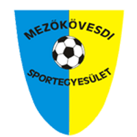 Mezőkövesd-Zsóry Team Logo