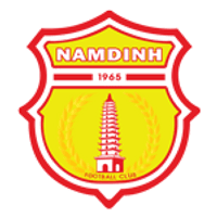 Nam Dinh Team Logo
