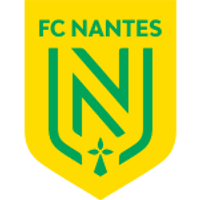 Nantes Team Logo