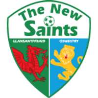 The New Saints Team Logo